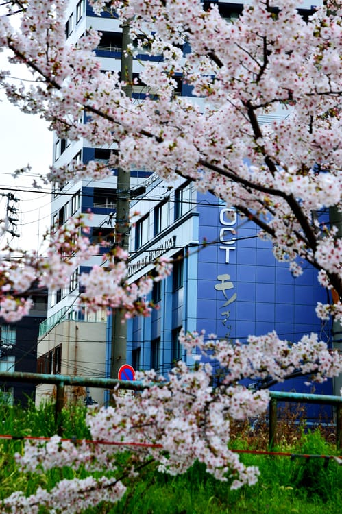 2015041621.jpg