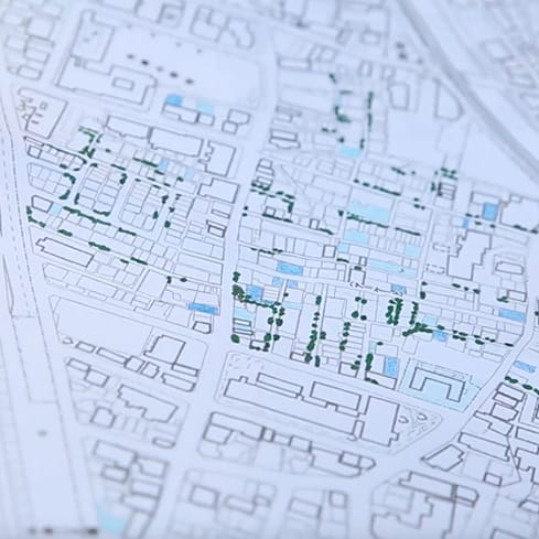 植栽を調査する